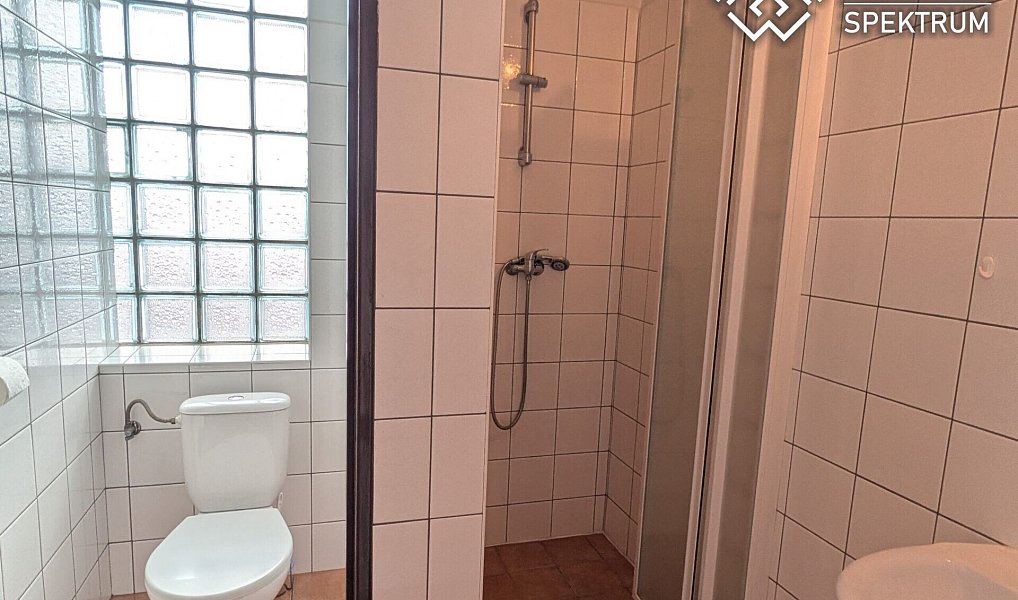 Pronájem obchodních prostor 128 m², Letohrad – náhled fotky 9