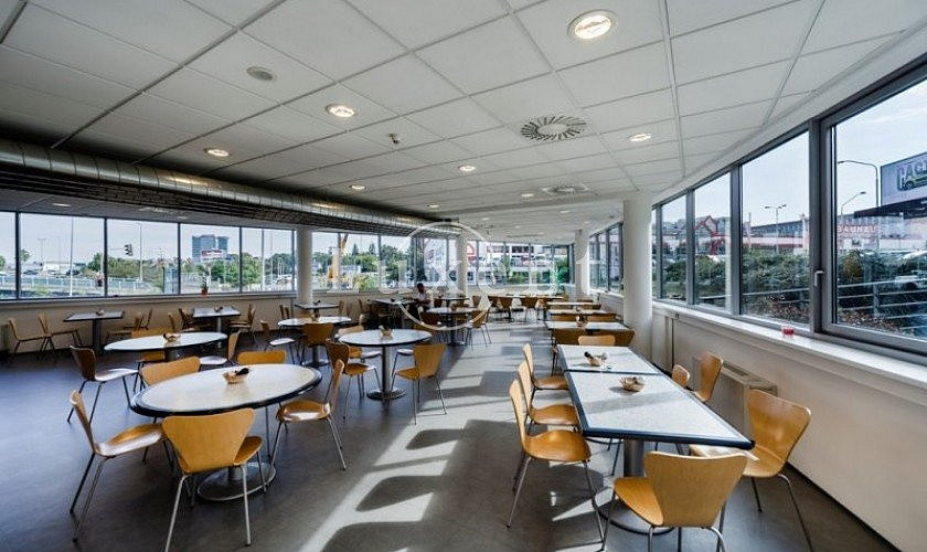 Pronájem kanceláře 303 m² – fotografie 5