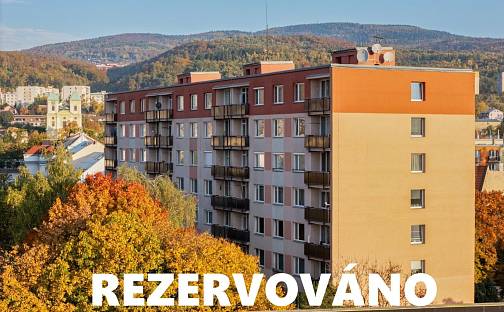 Prodej bytu 1+1 36 m², Čapkova, Litvínov - Horní Litvínov, okres Most
