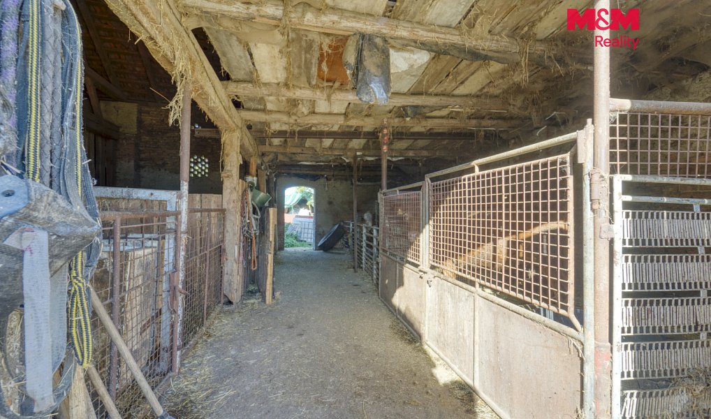 Prodej domu 70 m² s pozemkem 2 389 m², Čečovice – náhled fotky 16