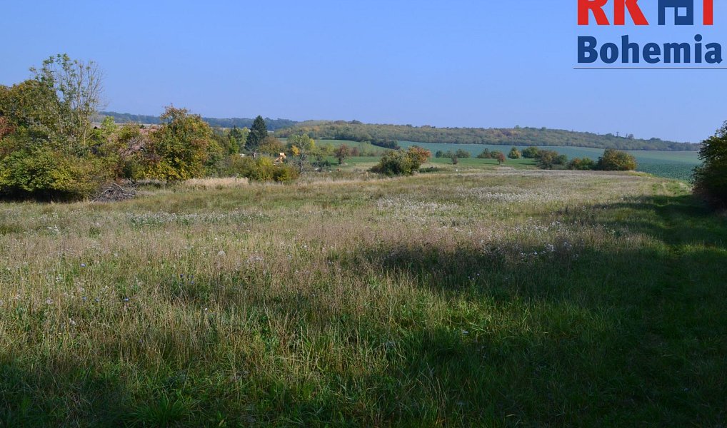 Prodej chaty/chalupy 120 m² s pozemkem 16 365 m², Cholenice – náhled fotky 11