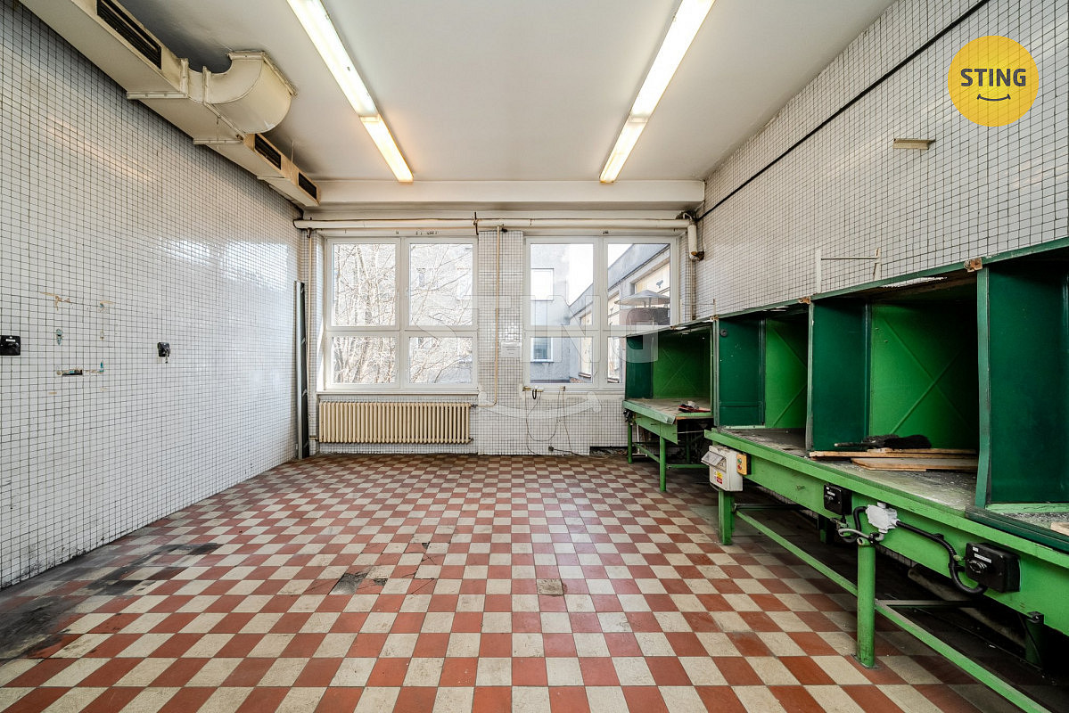 Pronájem komerčního objektu (jiného typu) 556 m² - Widok 3