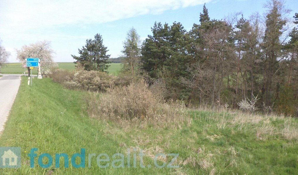 Prodej pozemku 1 277 m², Dešná – náhled fotky 3