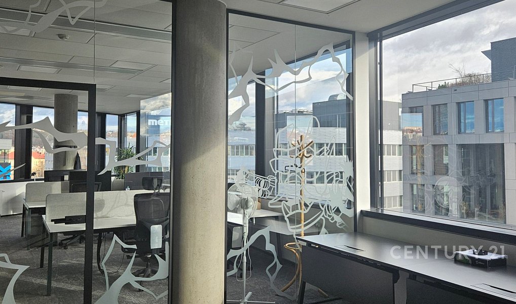 Pronájem kanceláře 1 050 m², Praha – náhled fotky 9