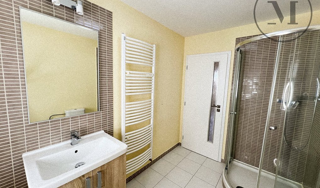 Pronájem bytu 1+1 59 m², České Budějovice – náhled fotky 6