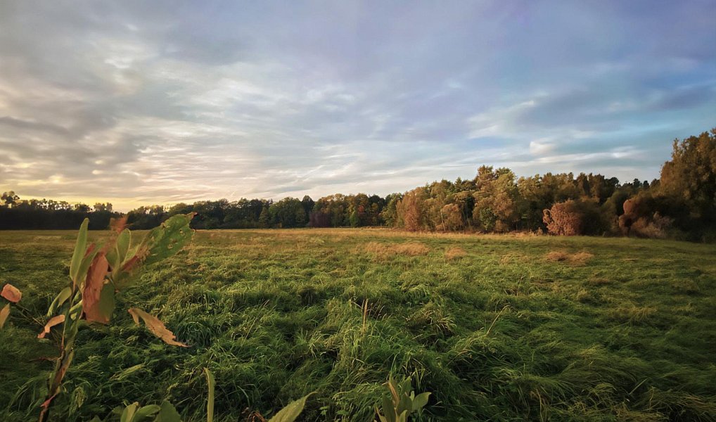 Pronájem chaty/chalupy 600 m² s pozemkem 5 000 m², Žandov – náhled fotky 20
