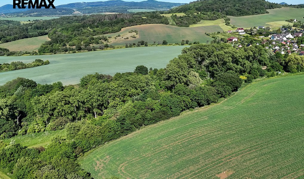 Prodej lesa 5 841 m², Skršín – náhled fotky 13