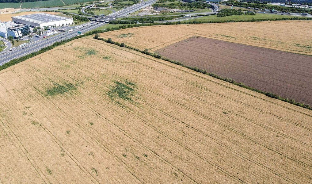 Prodej pole 17 034 m², Dobřejovice – náhled fotky 5