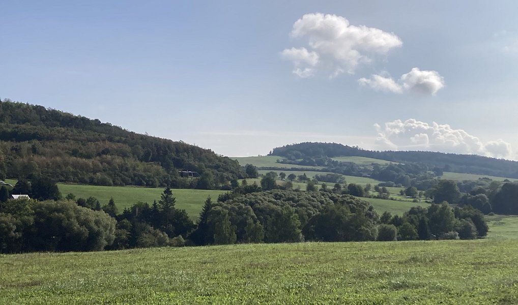 Prodej domu 113 m² s pozemkem 1 001 m², Neveklov – náhled fotky 31