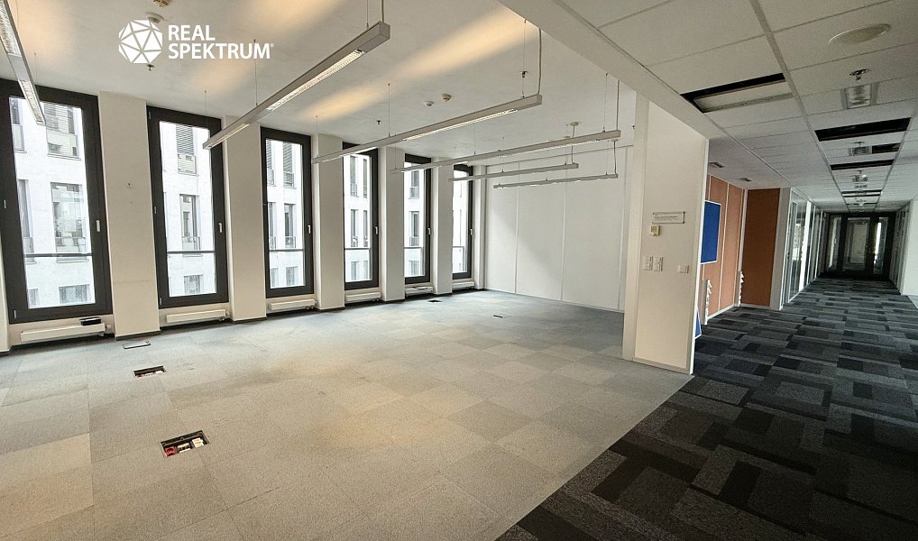 Pronájem kanceláře 296 m², Brno – náhled fotky 4