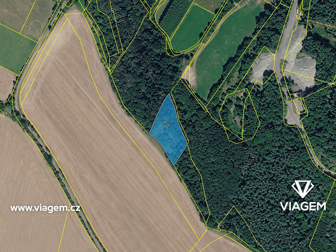 Prodej lesa 2 488 m² – pohled 4