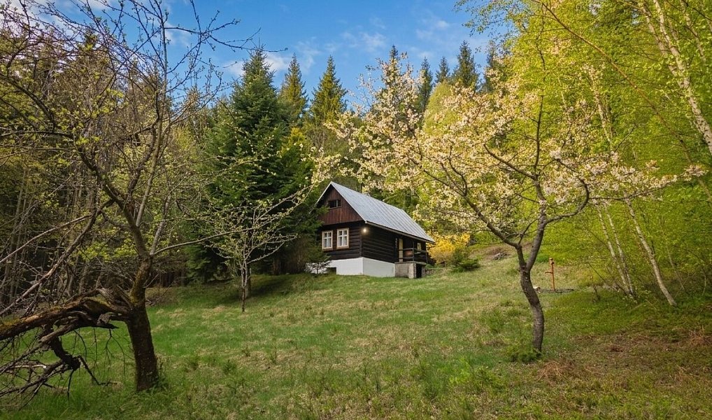 Prodej chaty/chalupy 150 m² s pozemkem 2 165 m², Prostřední Bečva – náhled fotky 13