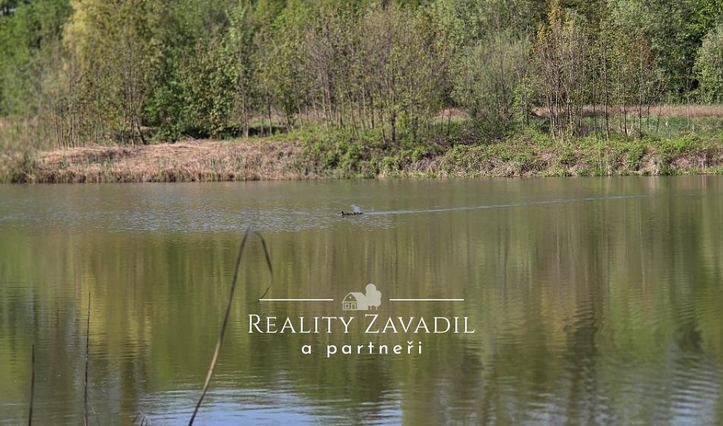 Prodej pozemku 32 500 m², Žabeň – náhled fotky 12