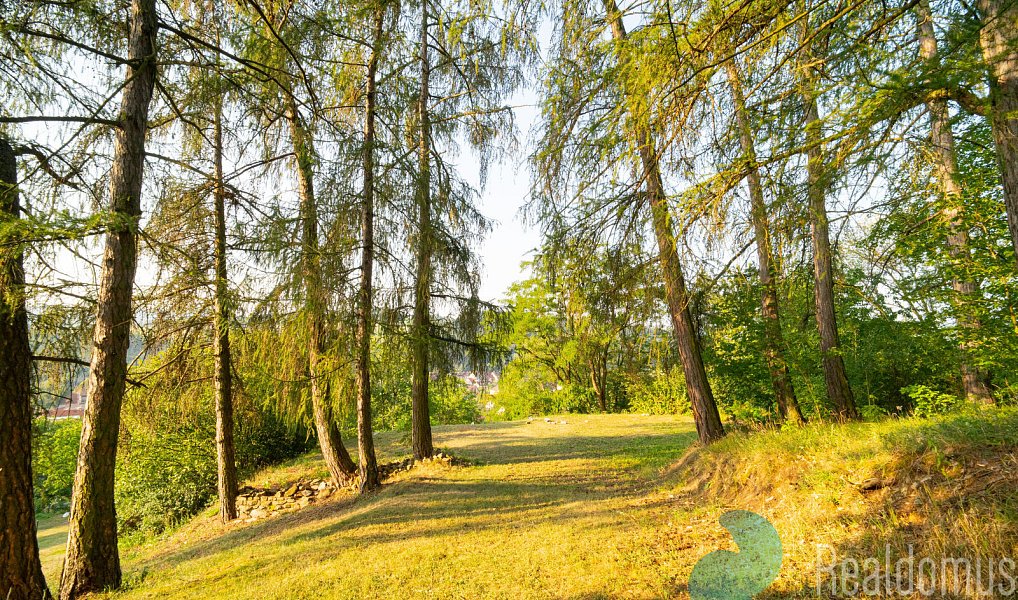 Prodej stavebního pozemku 1 083 m², Čkyně – náhled fotky 6