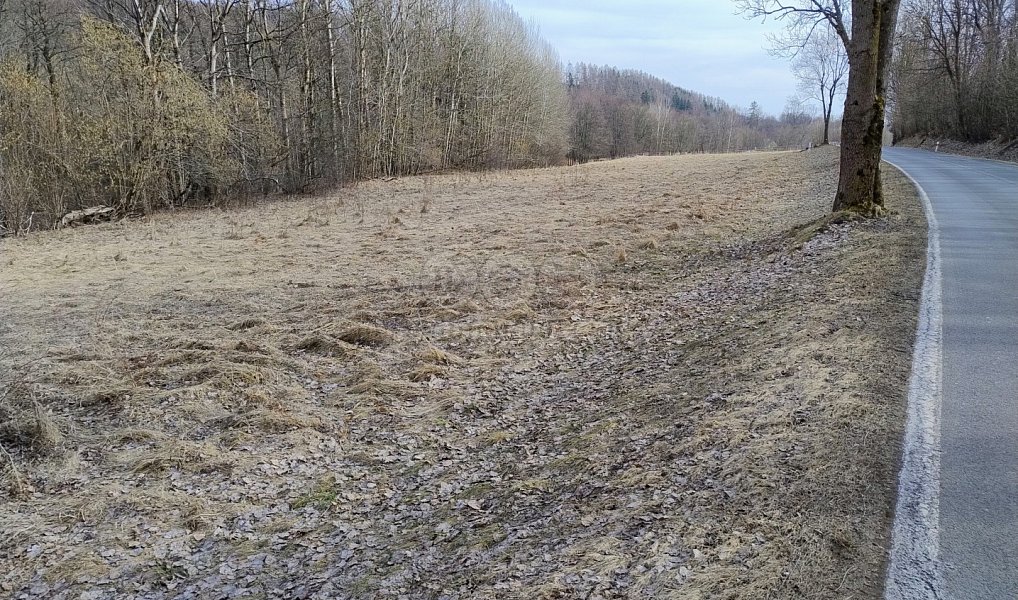 Prodej stavebního pozemku 1 920 m², Dolní Moravice – náhled fotky 4