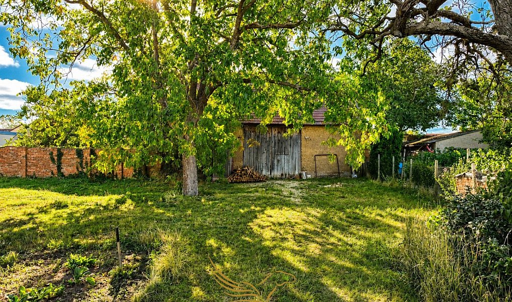 Prodej stavebního pozemku 943 m², Přísnotice – náhled fotky 6
