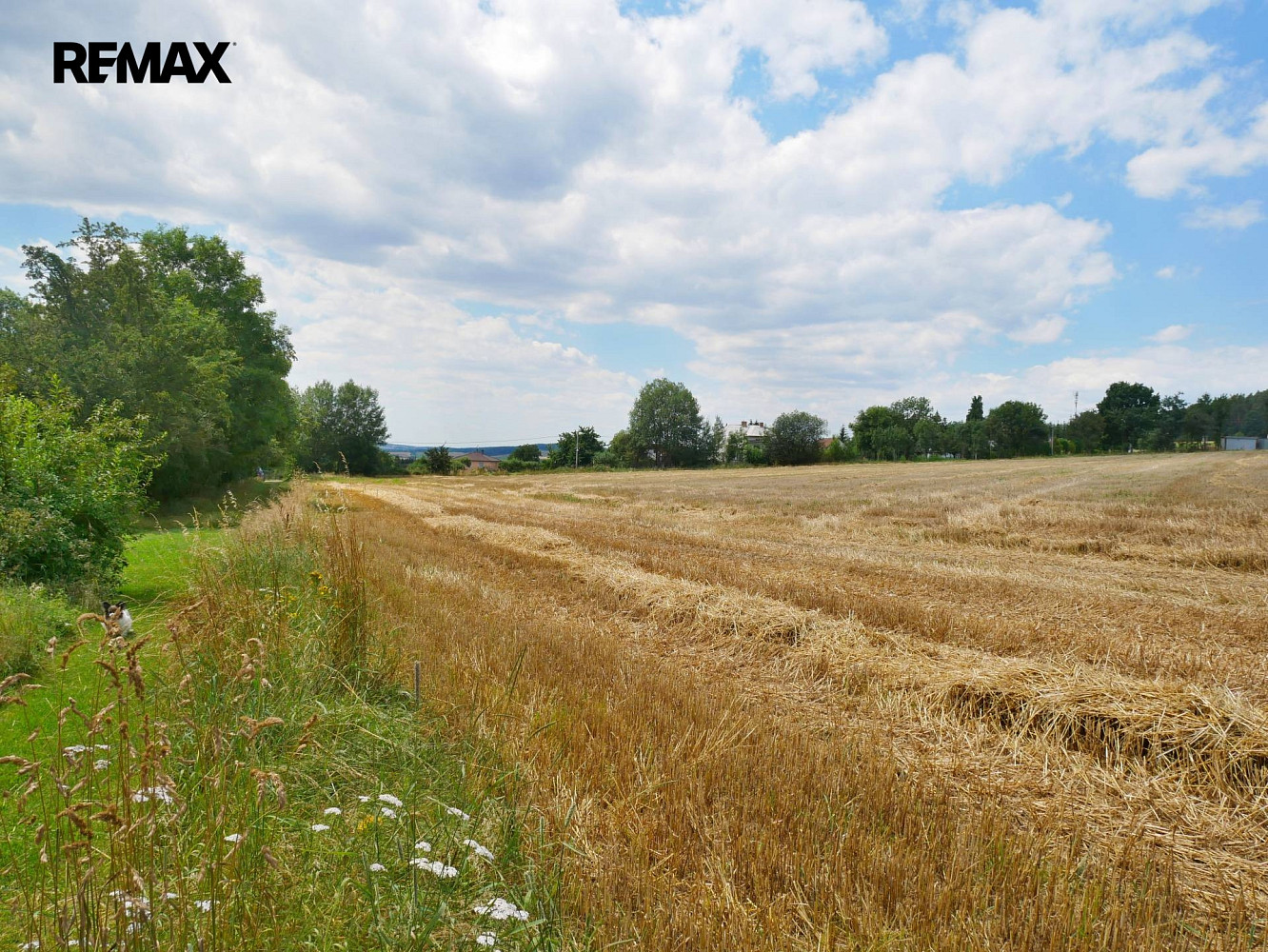 Prodej pole 3 930 m² – fotografie 3