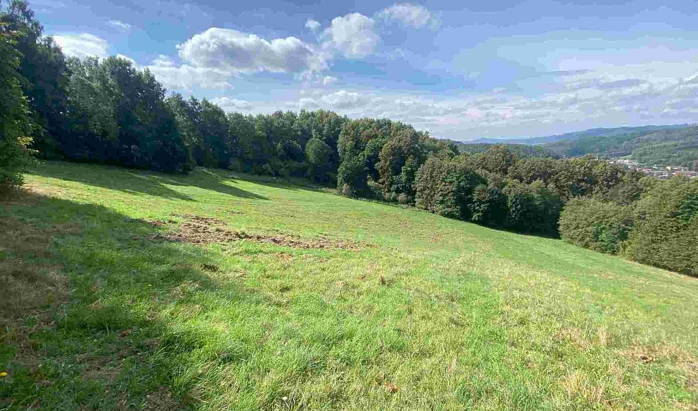 Prodej pozemku 10 593 m², Sobotín – náhled fotky 3