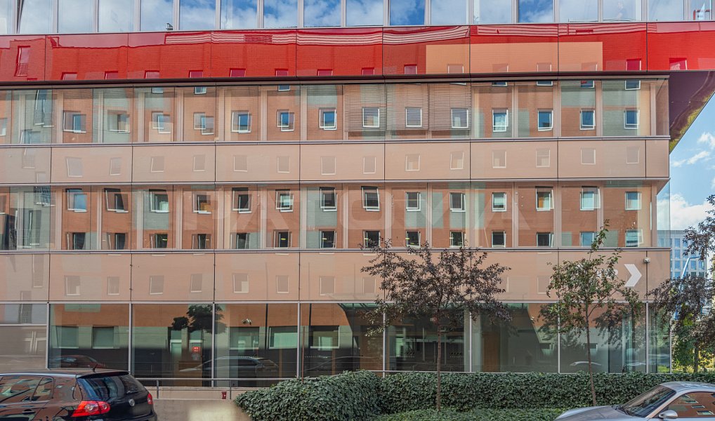 Pronájem kanceláře 315 m², Praha – náhled fotky 6