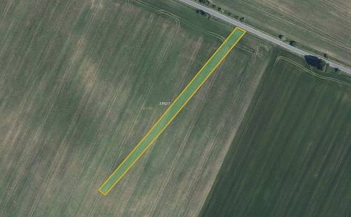 Prodej pole 9 549 m², Domamil, okres Třebíč