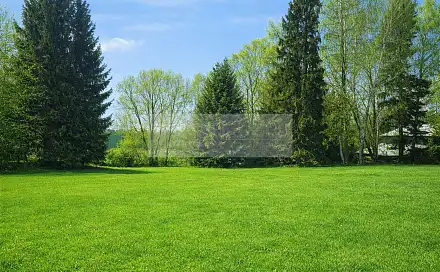 Prodej zahrady 1 635 m², Nová Paka, okres Jičín