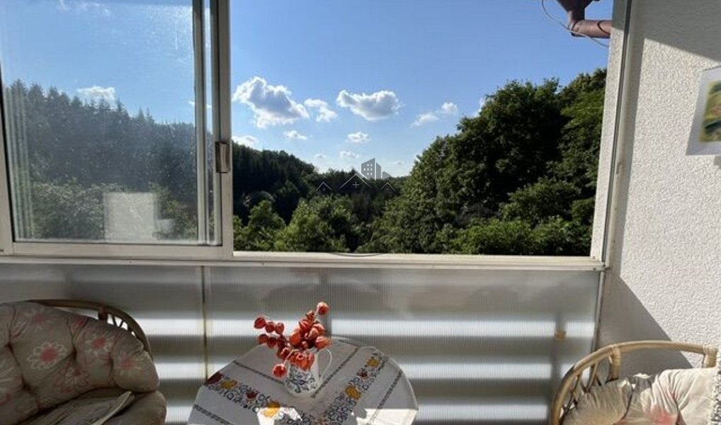 Prodej domu 238 m² s pozemkem 26 144 m², Vsetín – náhled fotky 14