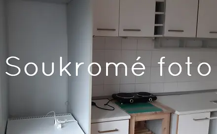 Pronájem bytu 1+1 44 m², Za hájem, Praha 6 - Sedlec