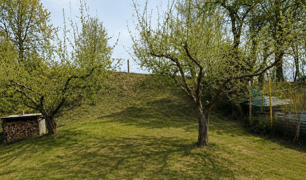 Prodej domu 93 m² s pozemkem 603 m², Černovice – náhled fotky 10