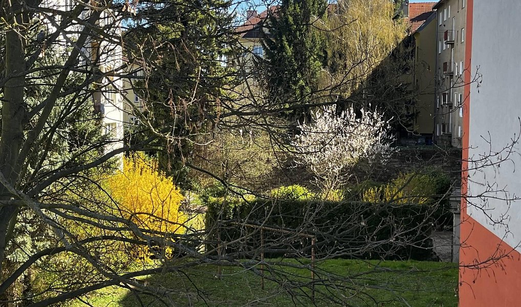 Prodej bytu 1+kk 31 m², Litoměřice – náhled fotky 14