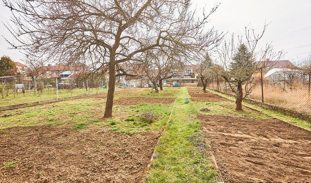 Prodej domu 232 m² s pozemkem 1 077 m², Hrušovany u Brna – náhled fotky 34