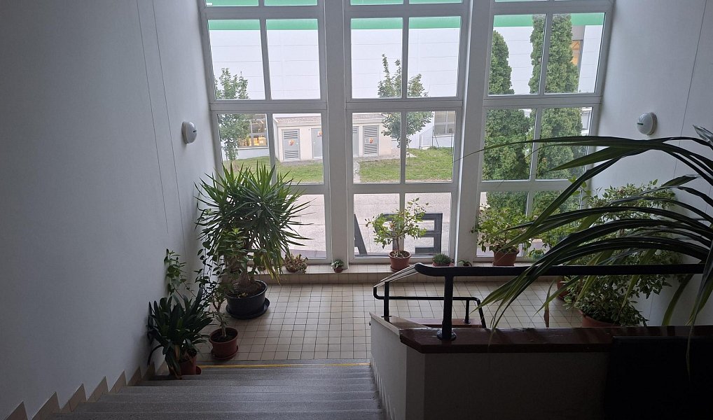 Pronájem kanceláře 24 m², Praha – náhled fotky 5
