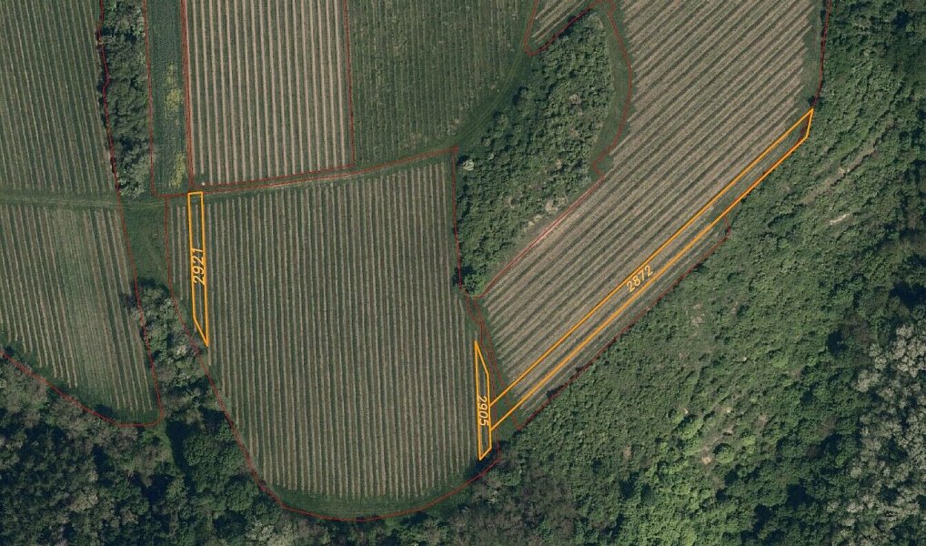 Prodej pozemku 4 878 m², Újezdec – náhled fotky 6