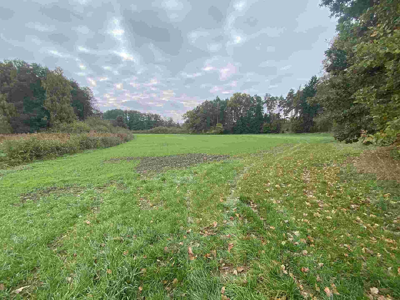 Prodej pozemku 41 773 m² – pohled 6