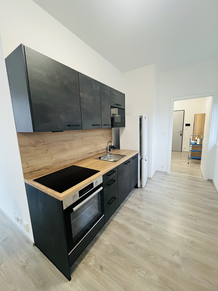 Pronájem bytu 1+kk 60 m²