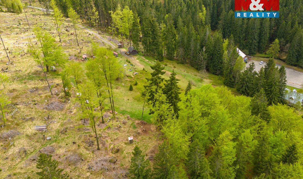 Prodej louky 8 167 m², Harrachov – náhled fotky 4