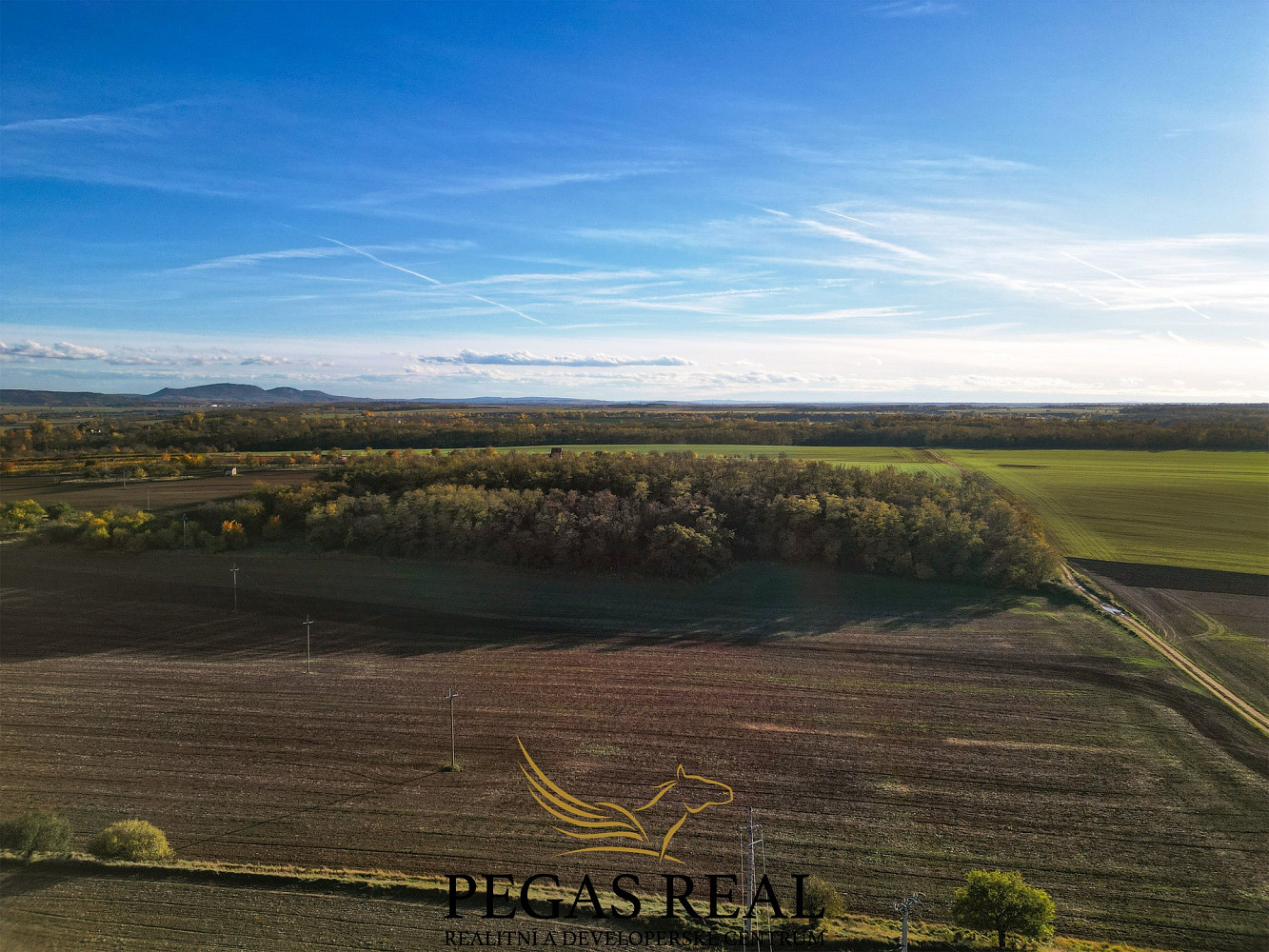 Prodej pozemku 16 289 m² – fotografie 3