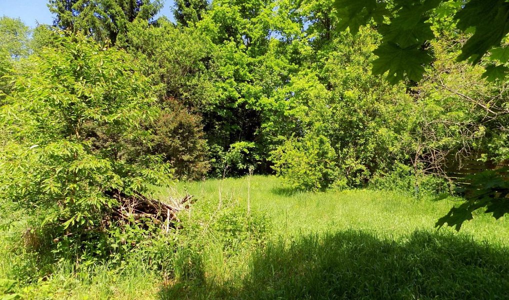 Prodej zahrady 519 m², Stružnice – náhled fotky 2