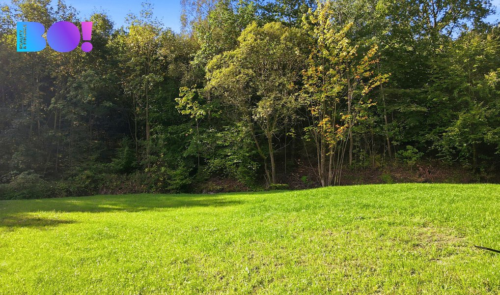 Prodej stavebního pozemku 751 m², Budišovice – náhled fotky 7