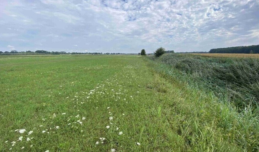 Prodej pole 16 506 m², Lomnice nad Lužnicí – náhled fotky 4
