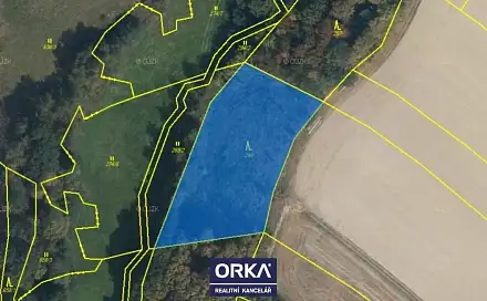 Prodej lesa 8 854 m², Otinoves, okres Prostějov