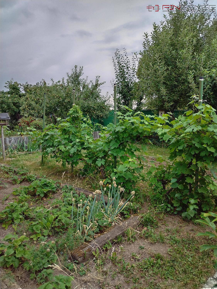 Prodej domu 20 m² s pozemkem 180 m² – fotografie 2