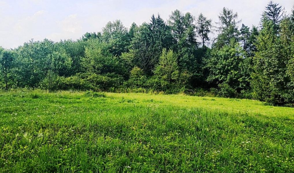 Prodej zahrady 3 200 m², Třinec – fotka 1 z 7