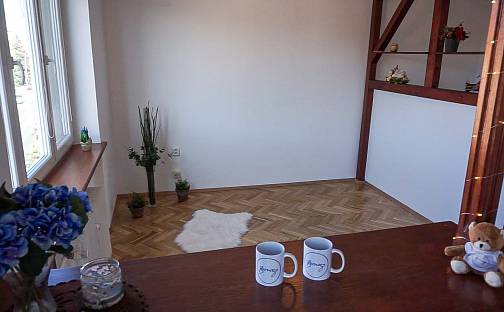 Pronájem bytu 1+kk 37 m², Merhautova, Brno - Zábrdovice