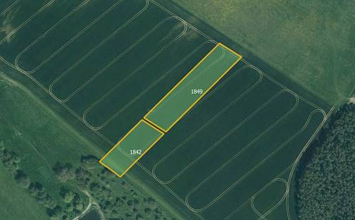 Prodej pole 8 248 m², Soběkury - Horušany, okres Plzeň-Jih