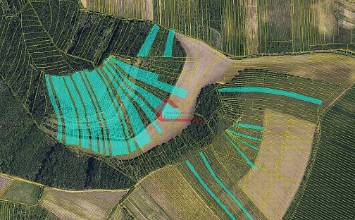 Prodej pole 63 768 m², Brumovice, okres Břeclav