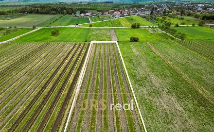 Prodej pole 3 474 m², Březí, okres Břeclav