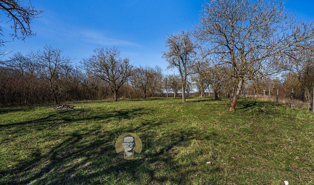 Prodej domu 100 m² s pozemkem 3 158 m², Střemy – náhled fotky 7
