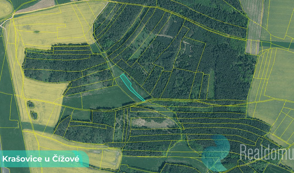 Prodej louky 1 215 m², Čížová – náhled fotky 2