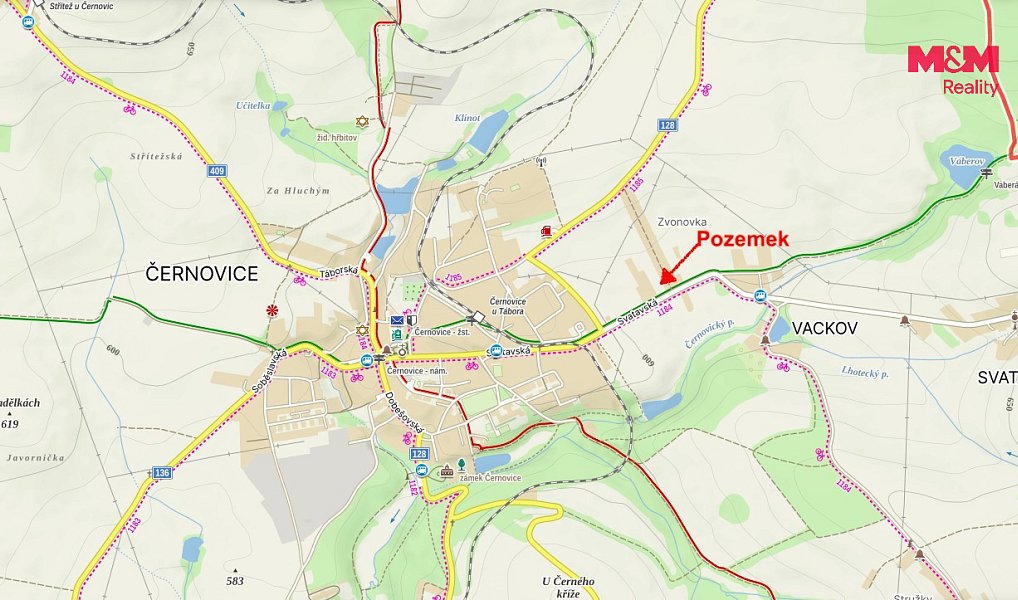 Prodej stavebního pozemku 2 513 m², Černovice – náhled fotky 6