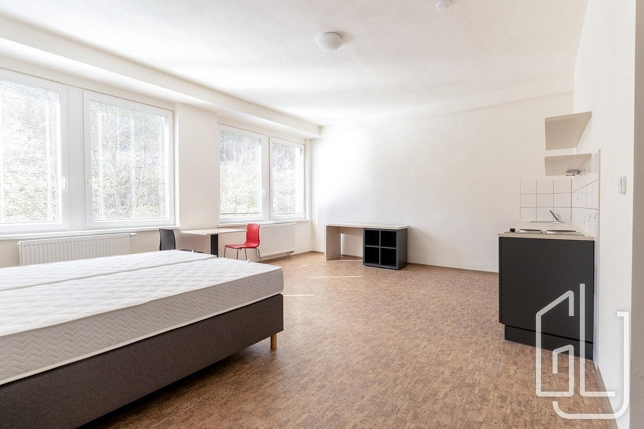 Pronájem bytu 1+kk 35 m² – fotografie 3
